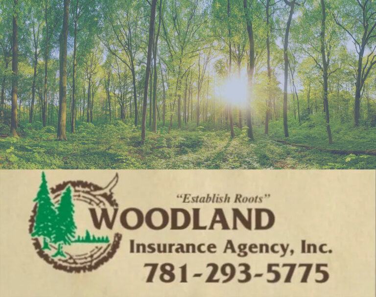 Woodland Insurance logo with picture of forest